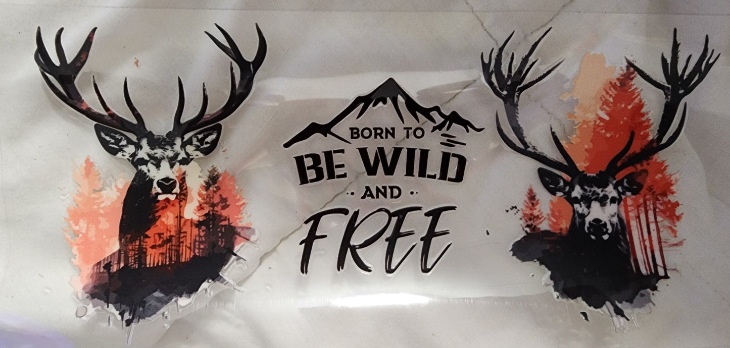 34- Born to be Wild Decal