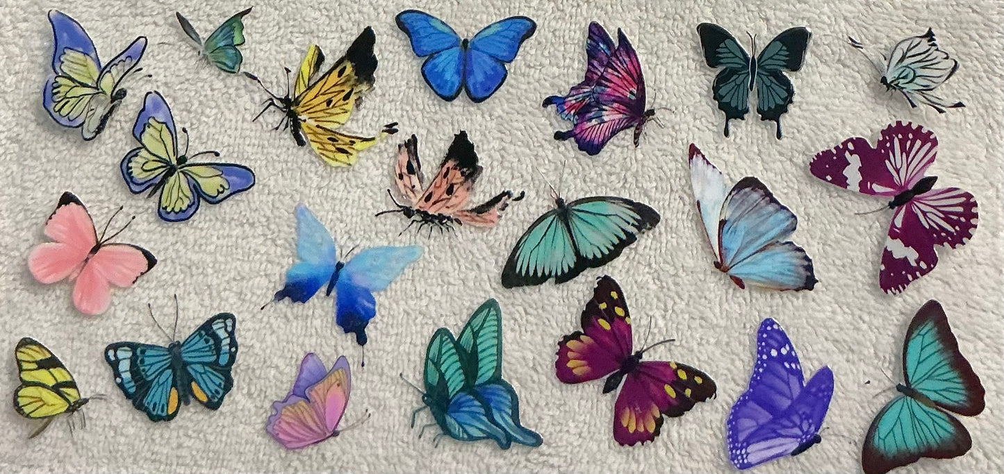 427- Colorful butterfly decal