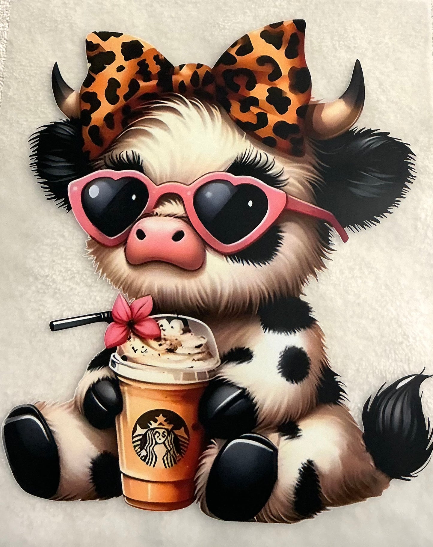 Starbies cow transfer